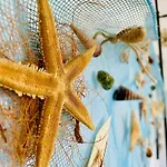 Con Giardino A Due Passi Dal Mare - 6 Posti Letto - פורטו טברנה