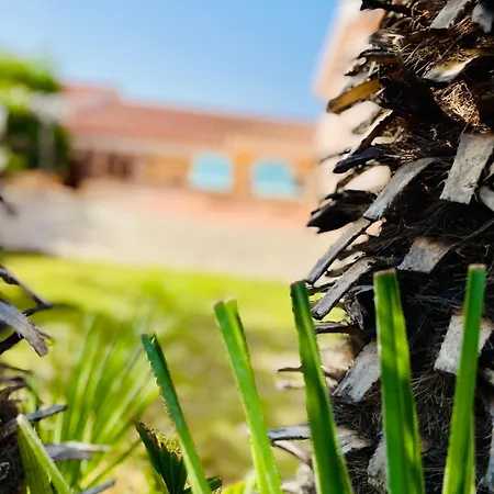 Con Giardino A Due Passi Dal Mare - 6 Posti Letto - بيت للعطل *